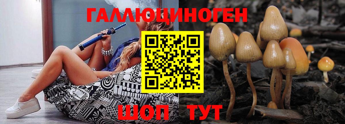 Псилоцибиновые грибы ЛСД Астрахань